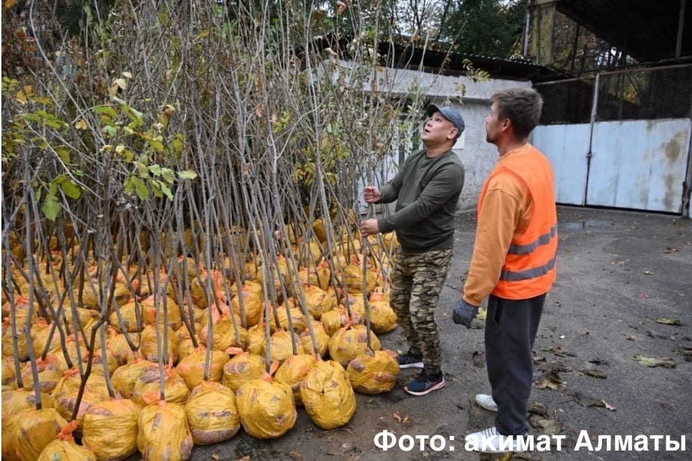 Фото: акимат Алматы