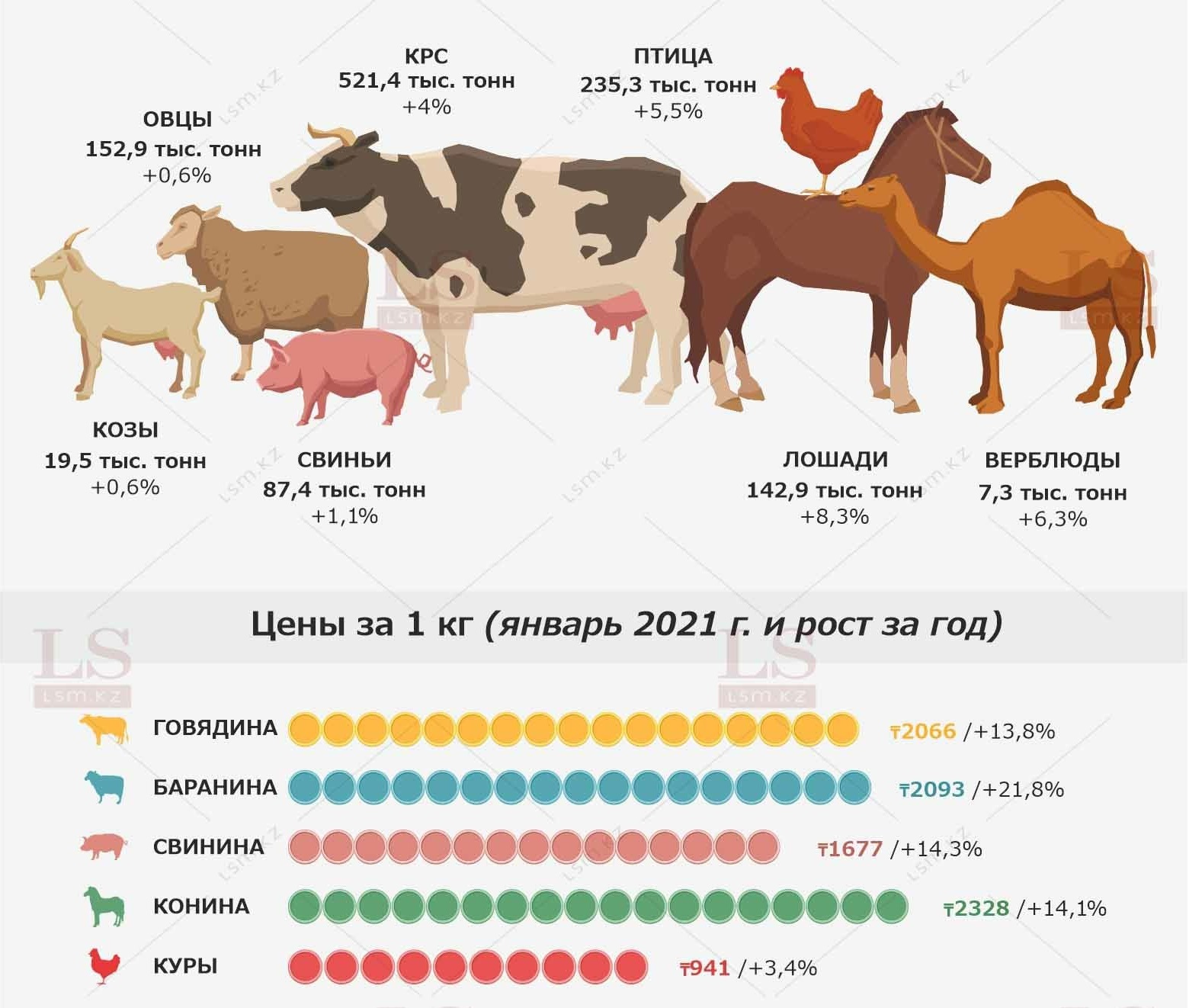 Виды Мяса Фото – Telegraph
