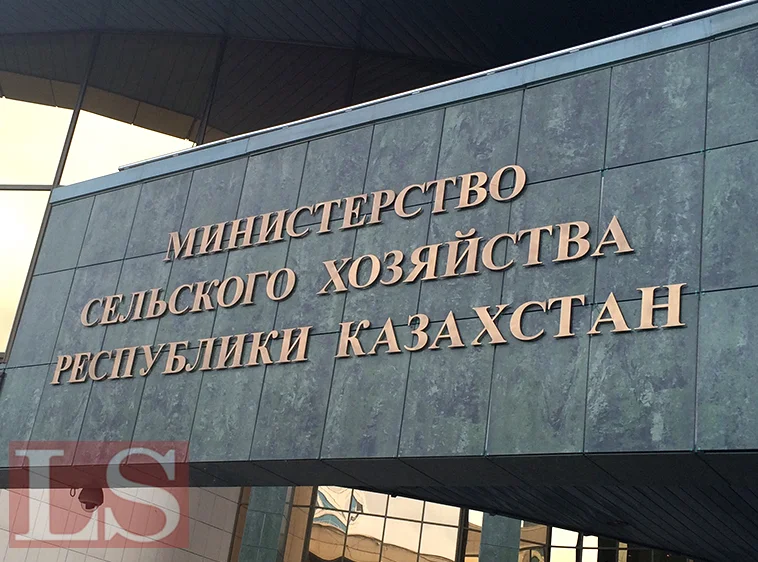 Пшеничные поля отдадут под кукурузу и сахарную свеклу