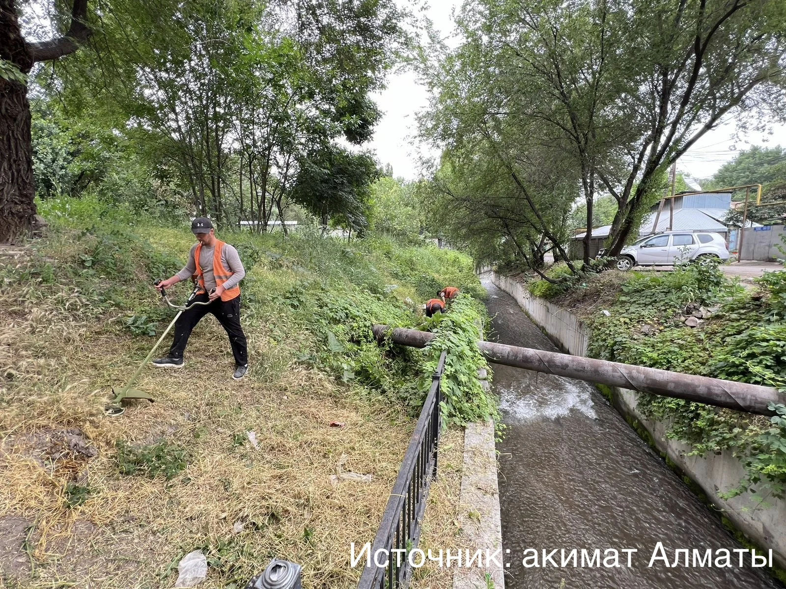 В Алматы прошла экологическая акция