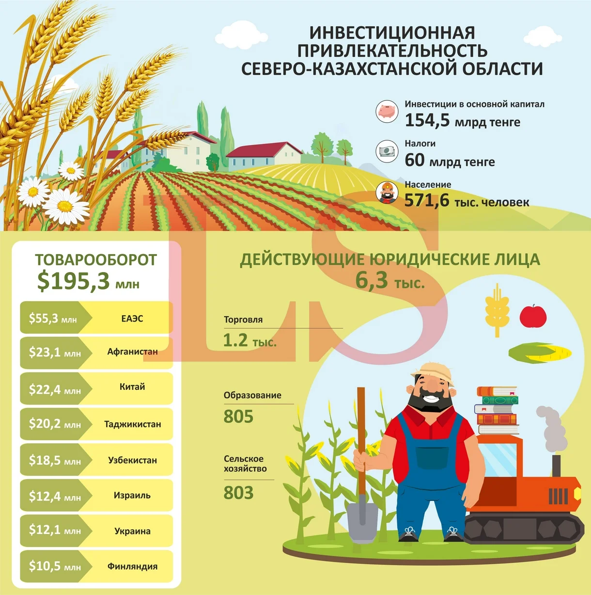 Северо-Казахстанская область чаще всего торгует с ЕАЭС и Афганистаном