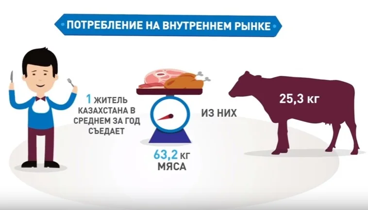 Сколько мяса едят в Казахстане. Видеоинфографика
