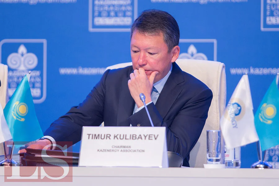 Тимур Кулибаев предложил провести антикоррупционную экспертизу казахстанских законов