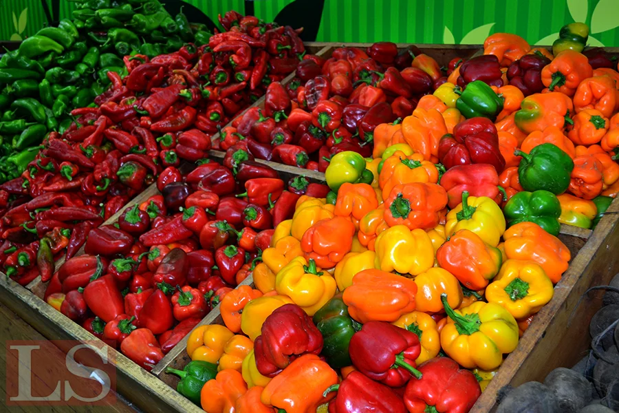 Сельское хозяйство Казахстана выросло на 2,7%